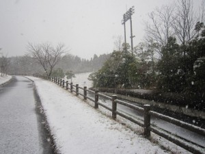 午後4時半の散歩道