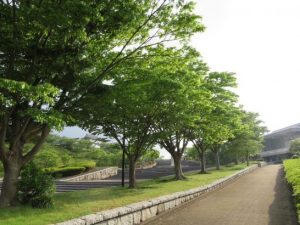 総合公園エントランス