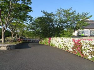 つつじ 3はこっち