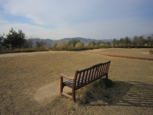 考える椅子 本日