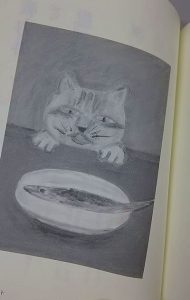 コンタクト(猫)