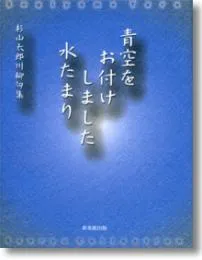 青空をお付けしました水たまり