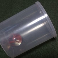 半透明ビー玉