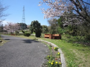 テニスコート横　遊歩道