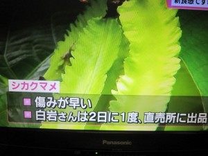痛みが早い
