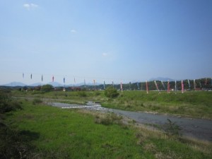 左端のはメザシ