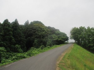 テッペンカケタカ