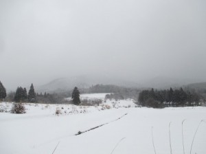 蒜山高原雪景色
