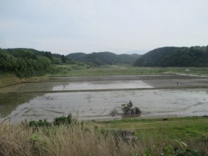 田植え