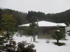 会場の中庭 吹雪