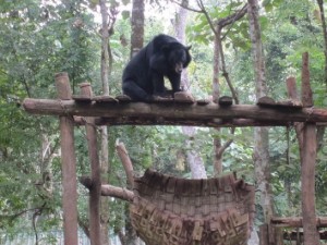 滝までの道中、熊の公園