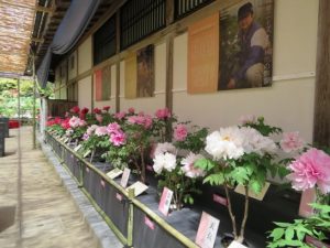 コンテスト～投票