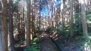 隠し田へ続く道