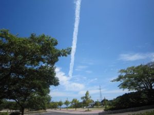 骨きりハモになった