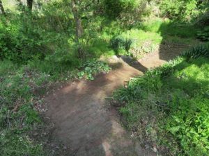 山　通路アフター