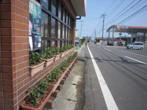 こちらに置き換え