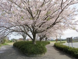 こっち　まなタン反対側