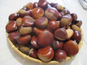 いっぱい採れた