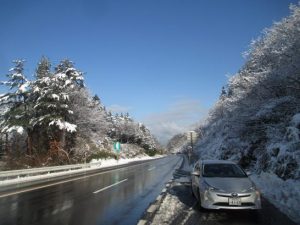 マイプリウス&樹氷