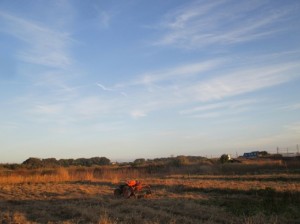 夕方の散歩にて