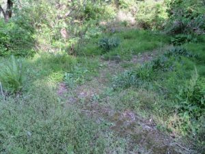 山　通路ビフォー