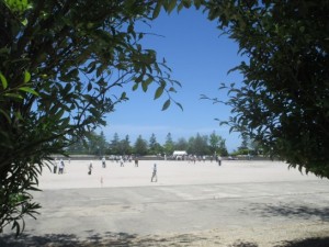 グランドゴルフ