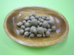 収穫したムカゴ