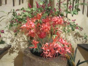 前田楓花作品４