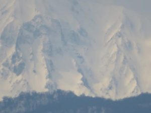 ズーム最大　こっちでっせ