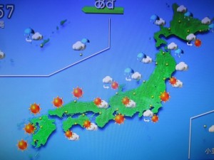 梅雨の中休み