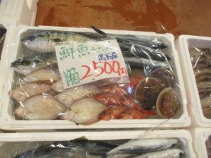 鮮魚セット