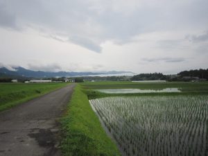 関金の田圃と山