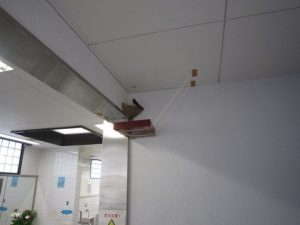 ツバメの巣　こちら