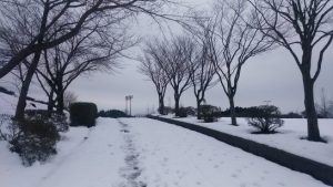 公園の雪