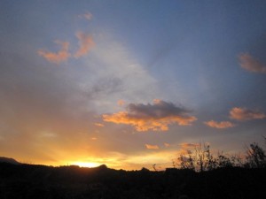 本日の秋　ネクスト