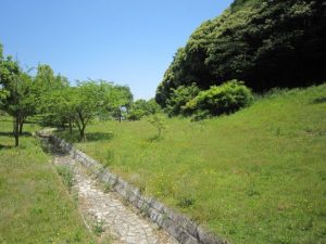 黄色いはな　２