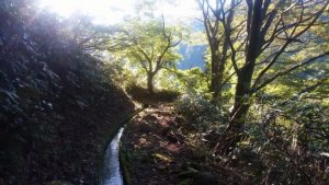 川から水田への融水路