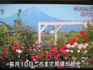 ローカルニュース