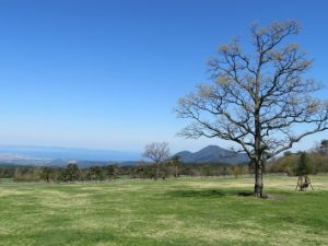 こっちに変更する