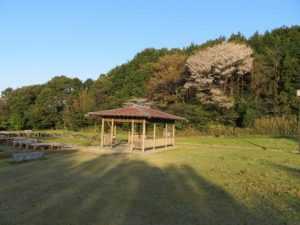 昨日夕刻の写真