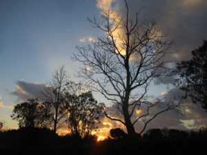 おもしろい照明