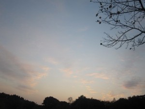 夕映え、こちら