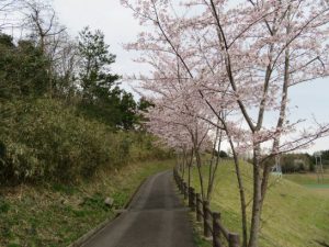 こっちに入れ替え