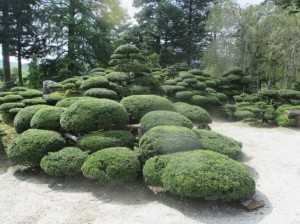 大山きゃらぼく