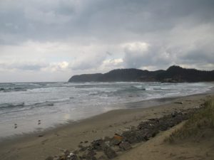 鳥2　イーストサイド