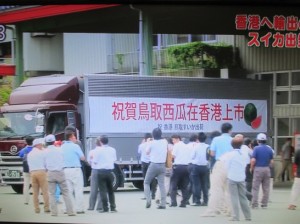 西瓜　トラック