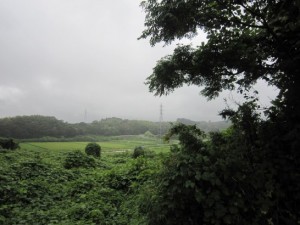 全身びしょ濡れ