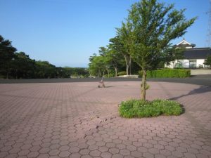 忘れらられた老人車