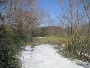 残雪の散歩道