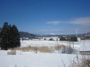 この写真も追加